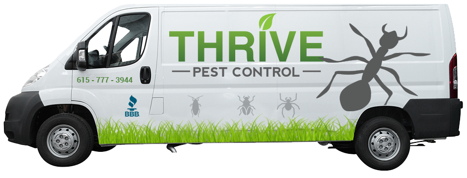 Same Day Pest Control Inspection Tennessee