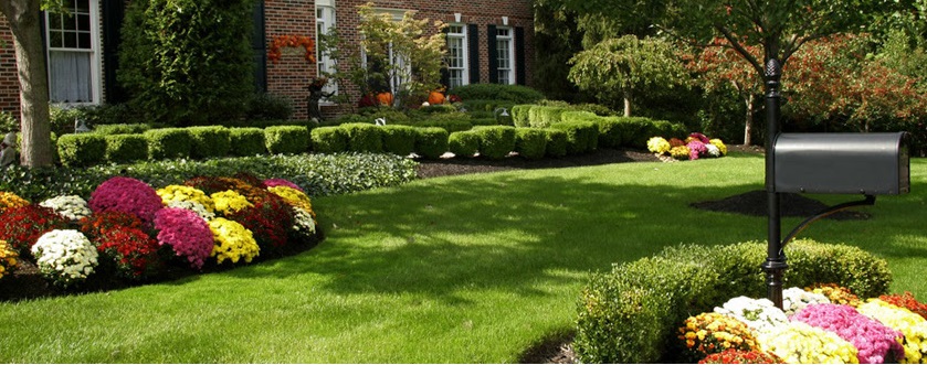 Lawn care, Nashville Tennessee